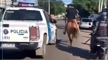 Impresionante detención de “caballochorros” en Quilmes: Son menores