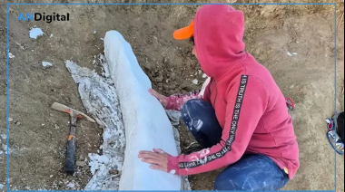 Hallan en Miramar un colmillo de más de 100 mil años de antigüedad