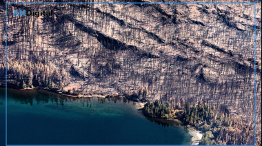 Ecocidio anunciado: más de 30 mil hectáreas arrasadas en Chubut