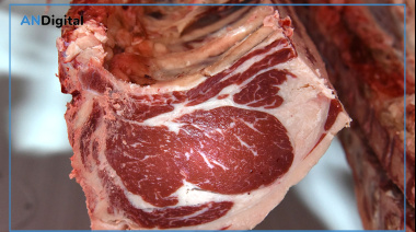 Nuevo sistema integral de faena para la producción cárnica