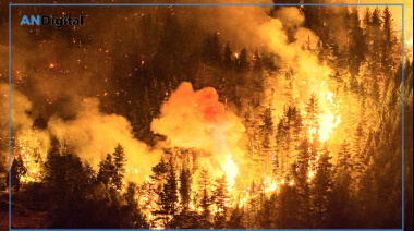 El Gobierno evalúa el posible tratamiento de la Emergencia Ígnea