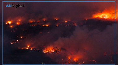 Feroz cruce de Grabois a Monteoliva: “Dejá de mentir, garca inepta tiragases”