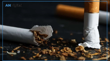 Factores que explican la carga del cáncer