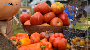 Identidad y sabor: nueva edición de la Fiesta del Tomate Platense