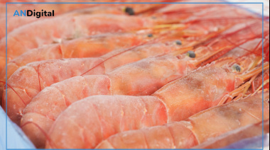 Destacado reconocimiento para el langostino argentino