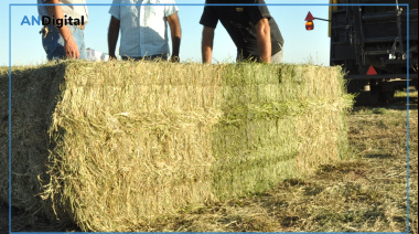 El rebrote primaveral generó impacto favorable en la producción forrajera