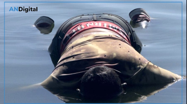 Hallan cadáver en una laguna a la vera de la AU La Plata-Buenos Aires