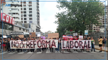 ¿Efecto Fate?: amplio respaldo al paro y cae el apoyo a la reforma laboral