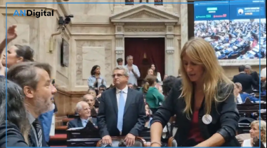 La Libertad Avanza pide la expulsión de la diputada Carignano por “sabotaje”