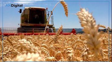 Según el INDEC, la economía creció 4,4 % en 2025