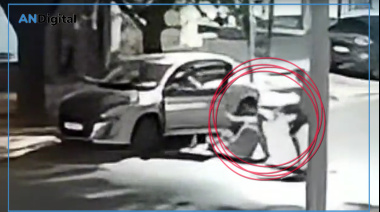 Merlo violento: Ladrones le pegaron una bestial patada en la cabeza para poder robarle