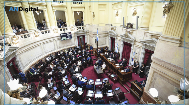 El Senado sancionó la Ley Penal Juvenil: La edad de imputabilidad baja a 14 años