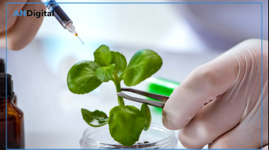 Una docena de carreras con buena salida laboral en este complejo 2026