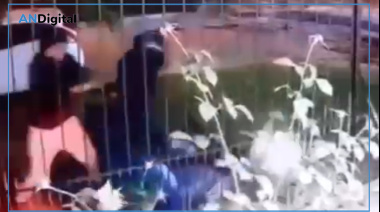 “Dame la moto o te quemo”: Un policía resistió a tiros un robo en Mar del Plata