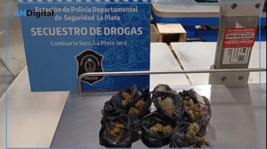Joven detenido con marihuana fraccionada a pasos de la Gobernación bonaerense