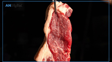 Las vaquitas son ajenas: sigue cayendo el consumo interno de carne