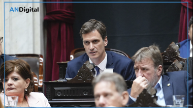 Un diputado compró un rifle por Mercado Libre y se lo enviaron al Congreso