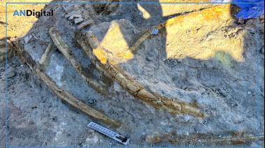 Histórico hallazgo saurópodo en La Pampa