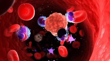 Un estudio advierte que un popular antioxidante podría favorecer el crecimiento del cáncer