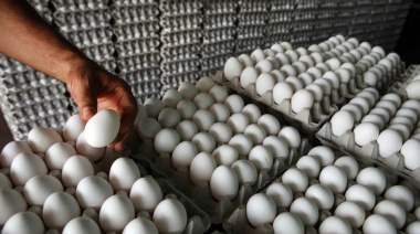 La Plata: el robo millonario que reveló un escondite de 150 mil dólares