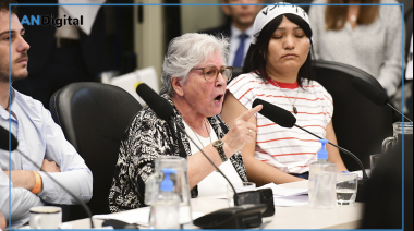 Audiencia pública caliente en Diputados por la Ley de Glaciares