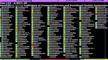 Polémica en la ONU: Argentina rechazó condenar la esclavitud africana