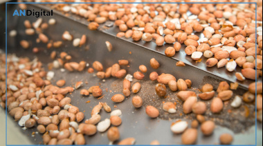 Las exportaciones agroindustriales tuvieron un primer bimestre récord