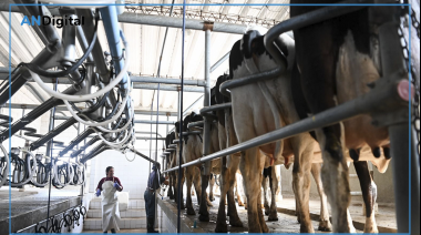 Advierten por la profundización de la crisis en el sector tambero