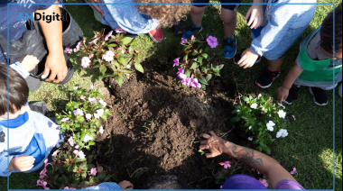 Plan de forestación: se lanzó “Quilmes Respira 2026