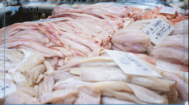 Pescado fresco, de calidad y a precios accesibles en el Mercado Central