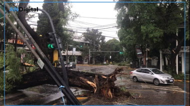 Violento temporal en el AMBA: inundaciones, destrozos y miles de usuarios sin luz