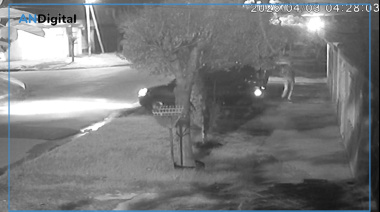 Brutal entradera en La Matanza: jubilada golpeada, torturada y maniatada