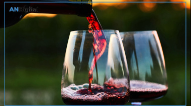 “Tu Malbec, tu decisión”: la campaña para priorizar el momento