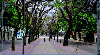 Acuerdo clave para la gestión estratégica del arbolado y el cinturón hortícola de La Plata