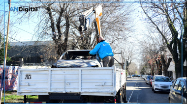 La Plata: ¿Cómo solicitar el retiro de un auto abandonado?