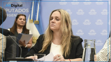 Una diputada de Milei admitió que usa pasajes del Congreso para que su hijo viaje a estudiar