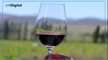 Fiesta de la Vendimia 2026 en Saldungaray: fechas, actividades y el auge del vino bonaerense