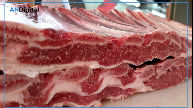 Derrumbe histórico: el consumo de carne en Argentina cayó al nivel más bajo en 20 años