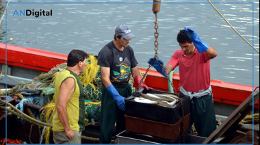 Alerta máxima por “despidos masivos” en el sector pesquero