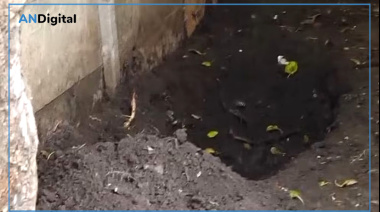 Horror en Solano: un nene encontró el cuerpo de su madre enterrado y ahora buscan a la pareja