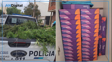 Denuncia por violencia de género derivó en hallazgo de marihuana y tablets oficiales en la casa de un estatal