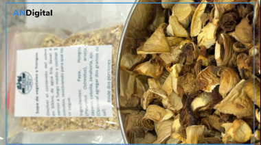 Superalimento: la UNLP presentó su nueva sopa crema de hongos deshidratada