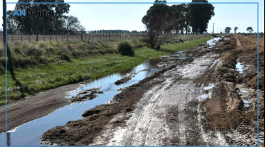 Abandono vial en el sur bonaerense: productores pagan más tasas y no pueden sacar la cosecha