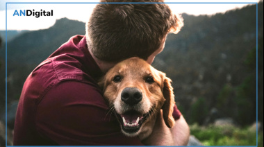 La mayoría de los argentinos ya elige alojamientos “pet friendly”