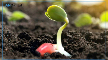 La confianza del campo cae fuerte y la inversión se frena