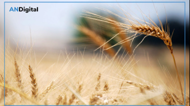 La Bolsa de Bahía Blanca desembarca en el sudoeste con gira clave para productores