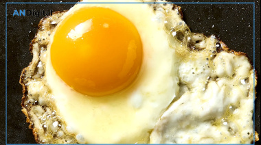 Tu amigo el colesterol