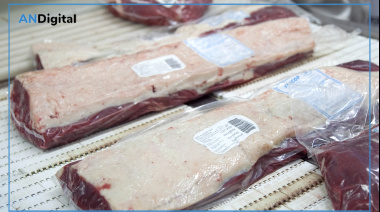 Fuerte crecimiento de la exportación de carne bovina en el primer trimestre