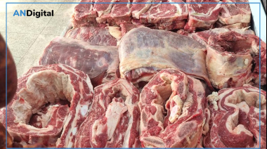 Incesante caída en el consumo interno de carne vacuna