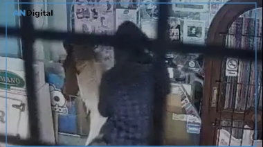 Caballo-chorros en Miramar: robaron un kiosco y huyeron al galope